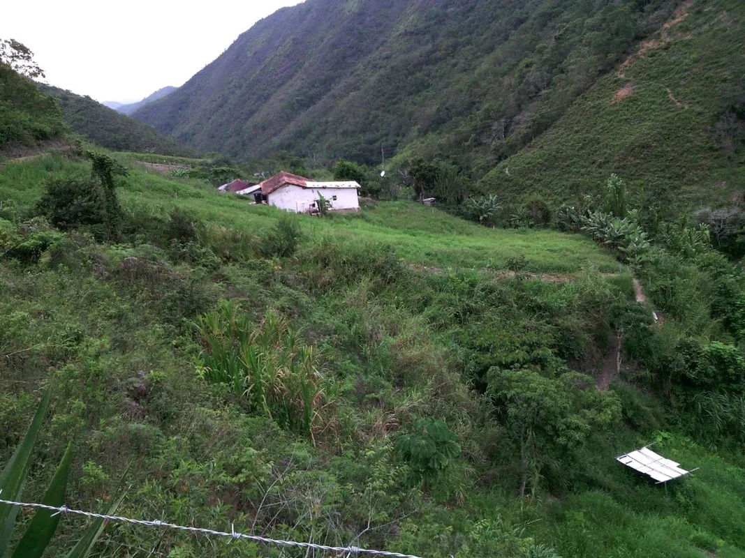 Finca vereda el Apial mini 2