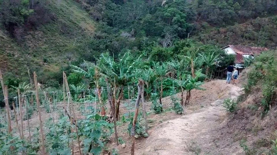 Finca vereda el Apial mini 4