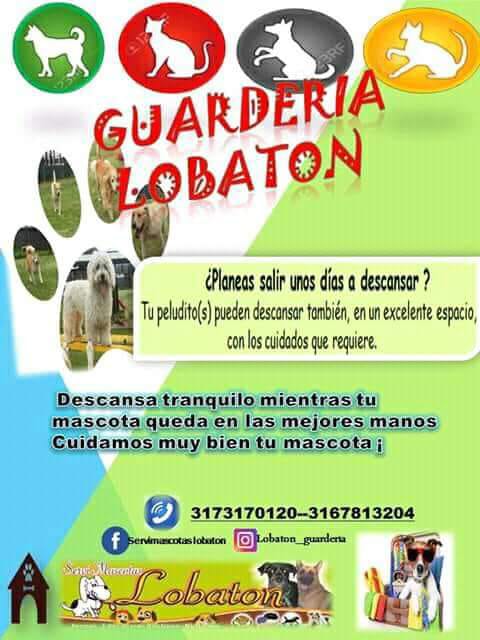 Guardería Lobaton